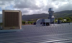 imag0528